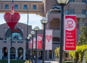 Huntington Hospital Performs First WATCHMAN™ Left Atrial Appendage Closure to Treat Patients with Atrial Fibrillation