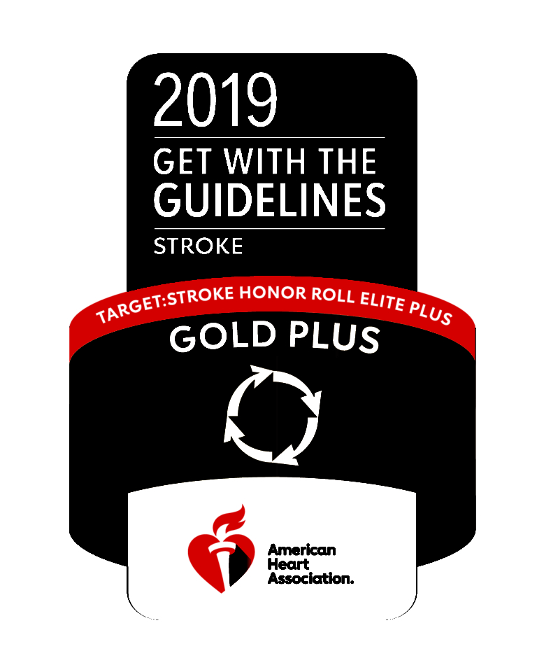 American Heart Association 2019 Get With The Guidelines Stroke Gold Plus Target Honor Roll Elite award badge