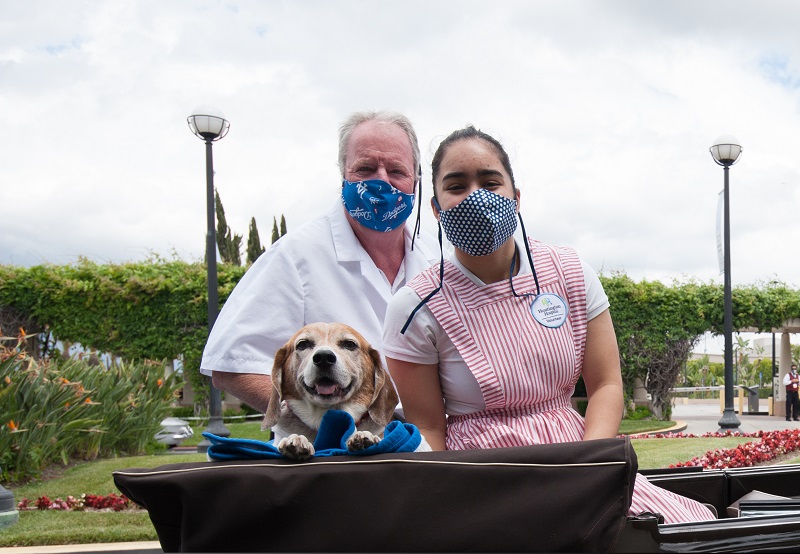 Huntington Hospital’s Pet-Assisted Therapy (PAT) Volunteers Spread Joy to Caregivers to Celebrate Hospital Week!