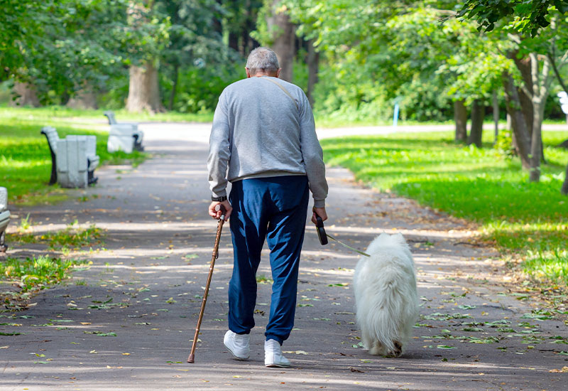 Senior man walking his dog with a cane
