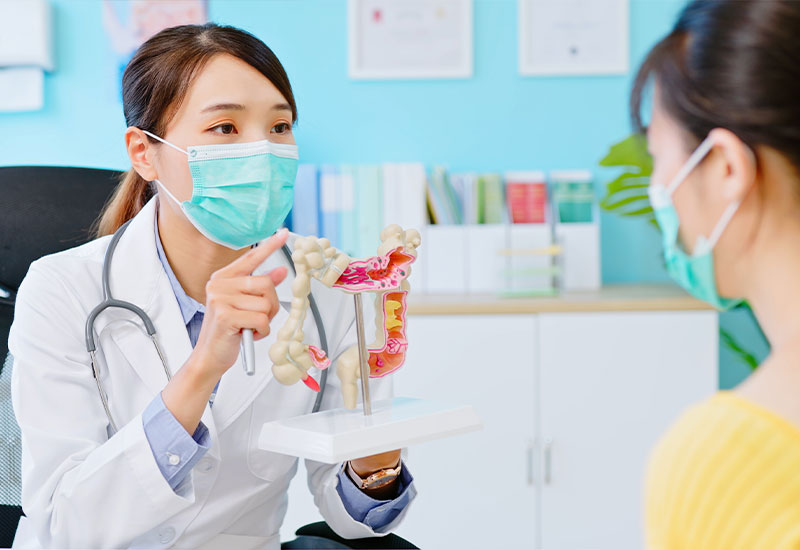 Female doctor, in-office, pointing to a plastic model of the intestines