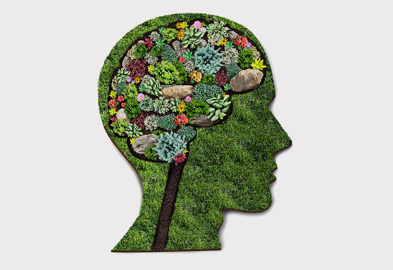 grass and plants in the shape of a human head