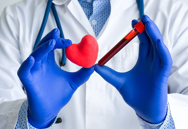doctor with blue rubber gloves, holding a plastic red heart and vial of blood